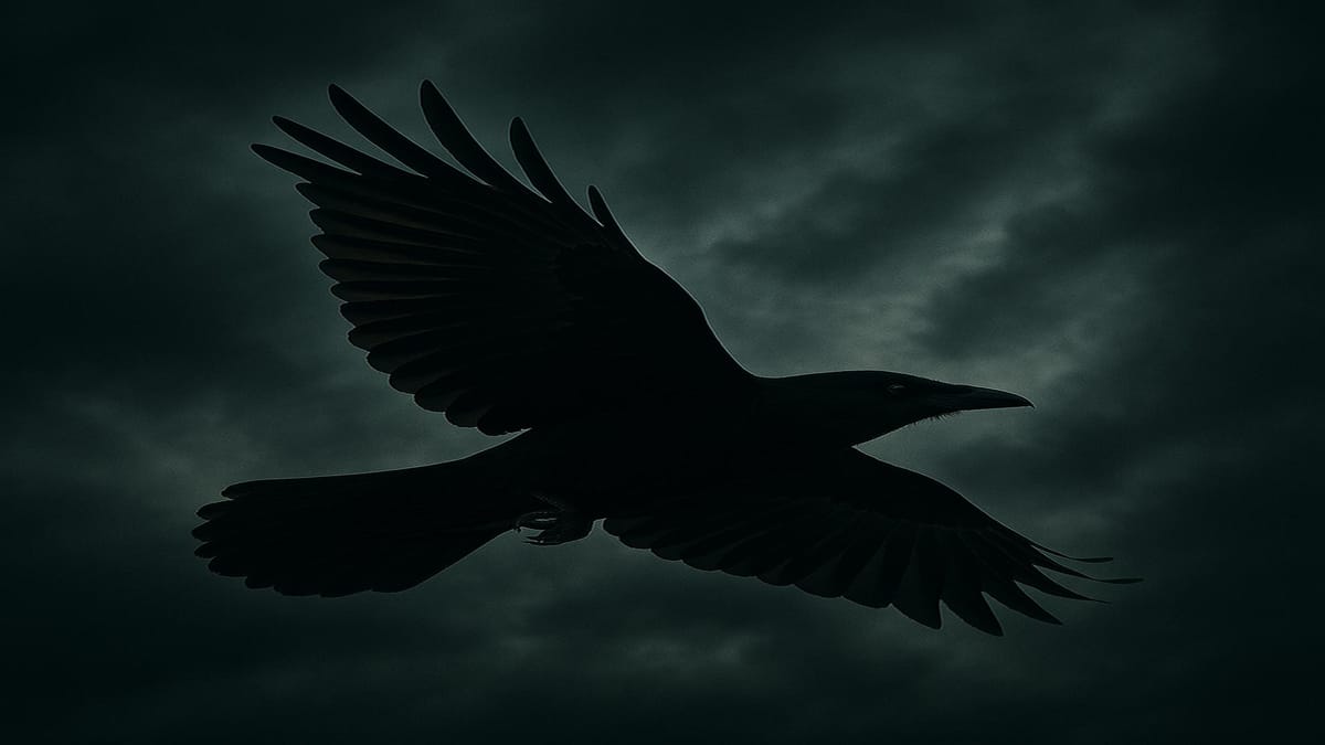 Father of Crows: Chapter Nine: Bound by Shadows