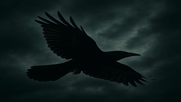 Father of Crows: Chapter Nine: Bound by Shadows